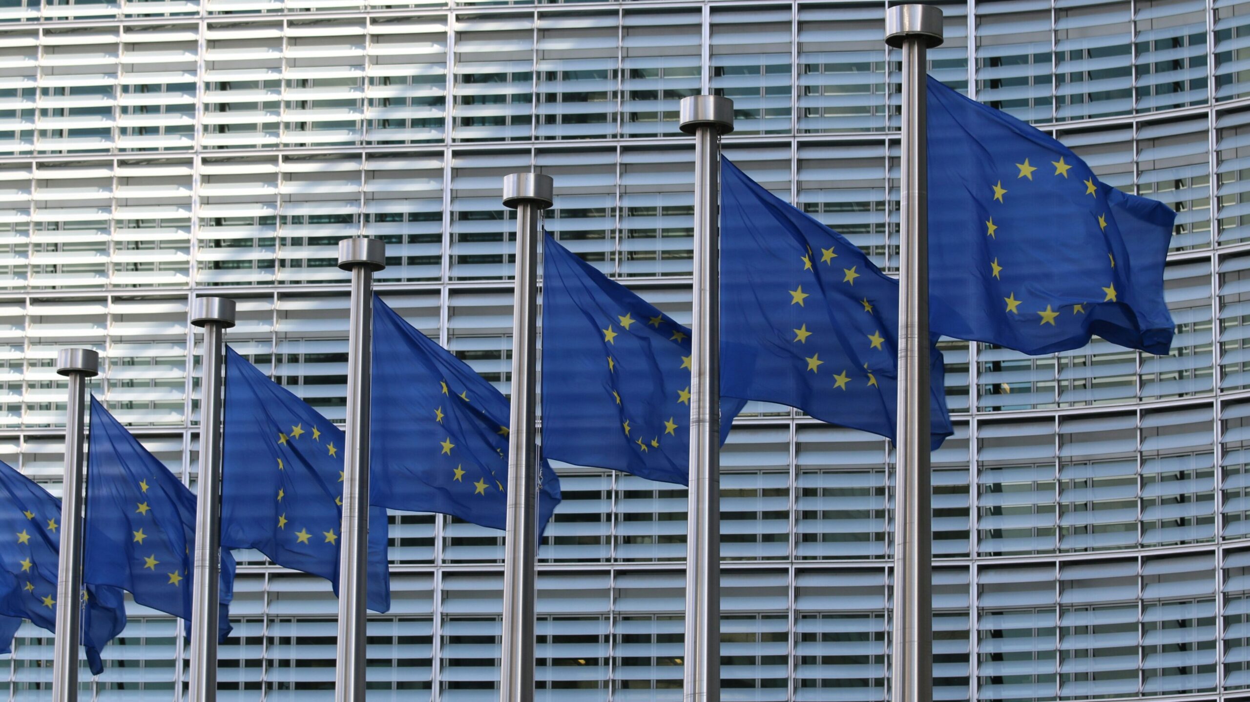 Σημαίες της Ευρωπαϊκής Ένωσης
