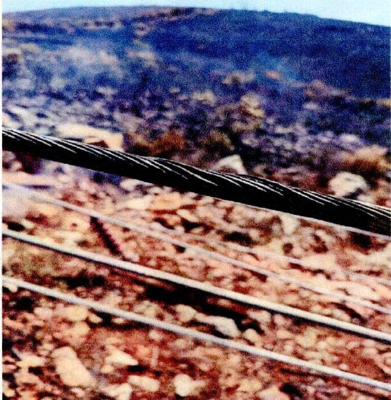 Στη δεύτερη φωτογραφία αποτυπώνεται επίσης καλώδιο μεταφοράς ηλεκτρικής ενέργειας με έντονη θερμική αλλοίωση και τοπική τήξη των εξωτερικών αλουμινένιων κλώνων. Σύμφωνα με την αυτοψία και την τεχνική έκθεση της Πυροσβεστικής, τα δύο καλώδια βρίσκονταν σε παράλληλη διάταξη και, εξαιτίας των πολύ ισχυρών ανέμων, ταλαντώθηκαν μέχρι που ήρθαν σε επαφή μεταξύ τους, προκαλώντας το βραχυκύκλωμα.

